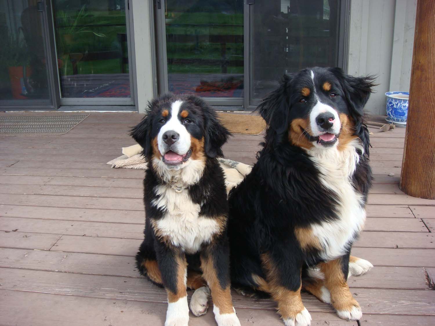 Gigi and Utah